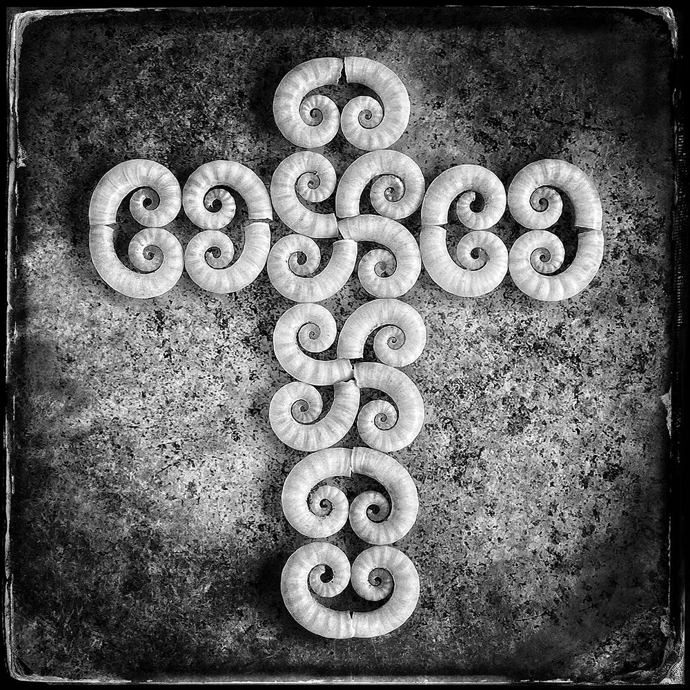 Shell cross