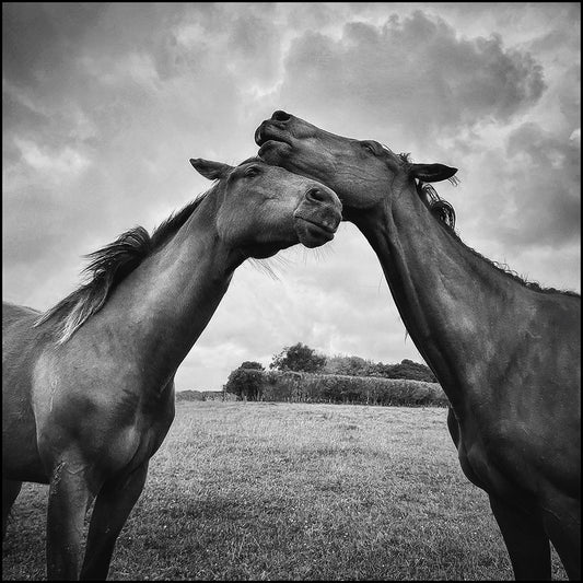 An act of love
