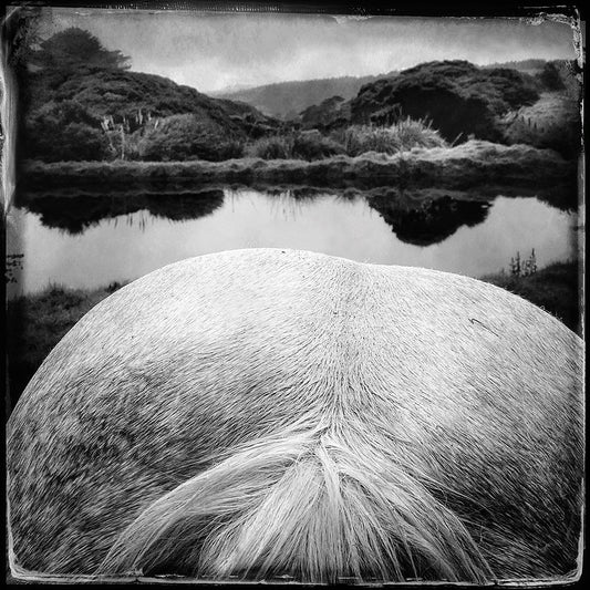 Behind the lake