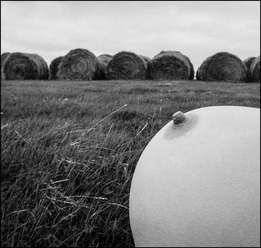 Breast and hay bales