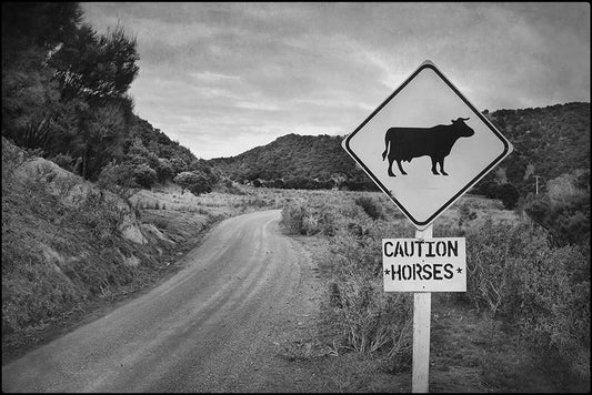 Caution horses