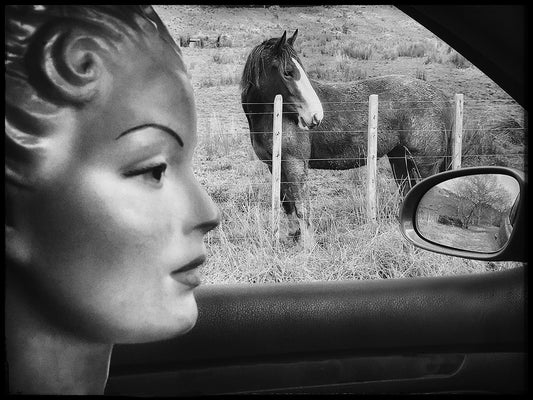 Lily and the horse