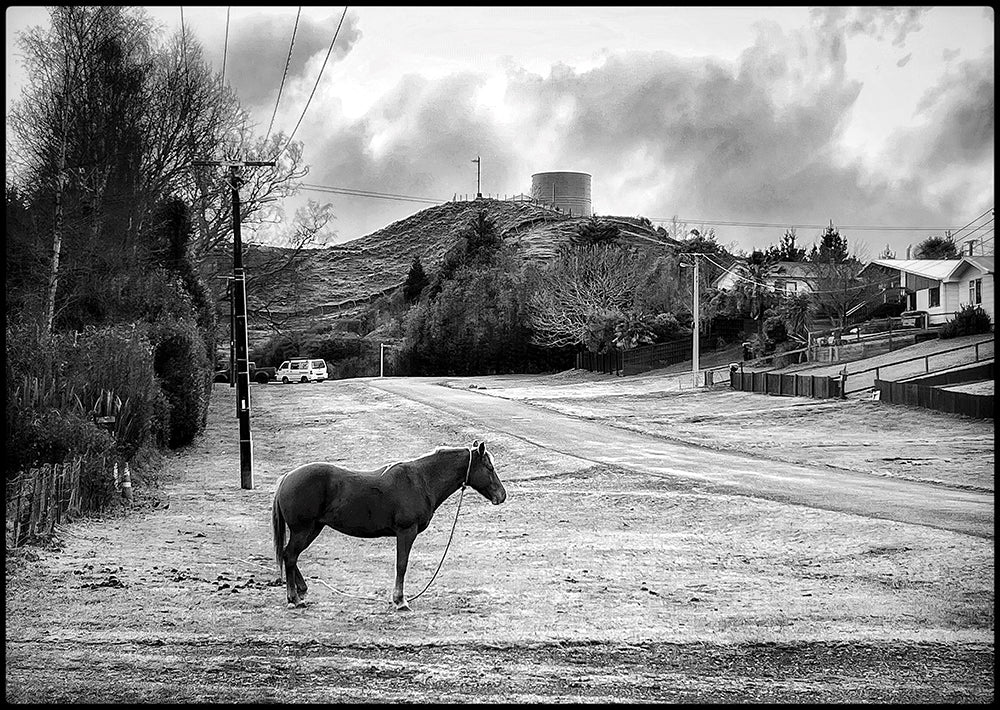 One horse town