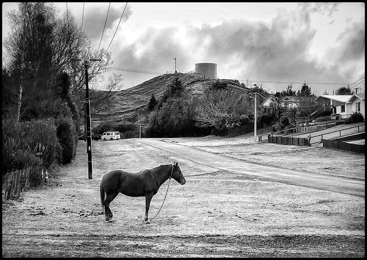 One horse town