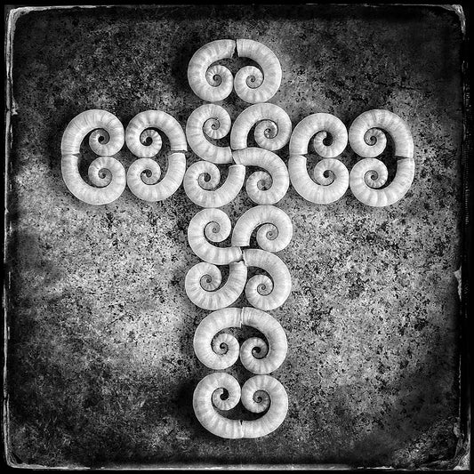Shell cross