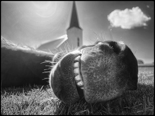 With church and cloud