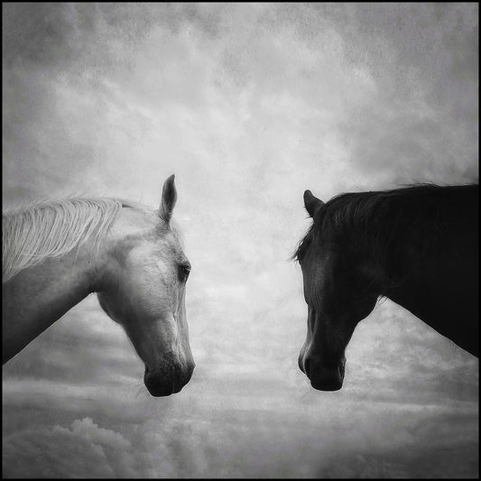 Ying and yang#2