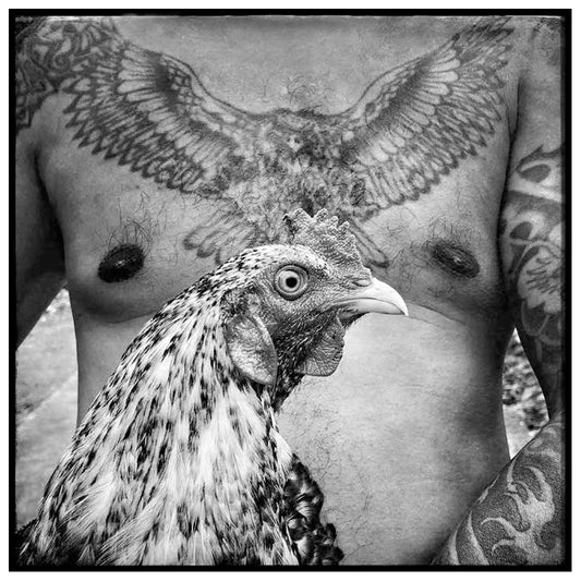 Eagle and Cock