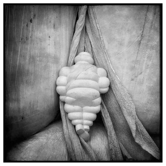 Mr Michelin